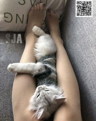 电影危机航线免费观看