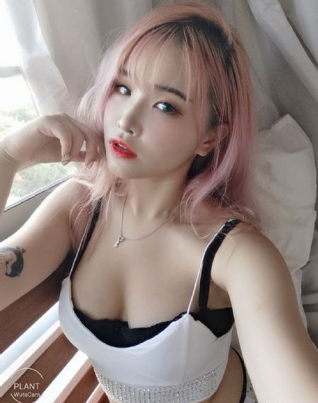凤囚凰