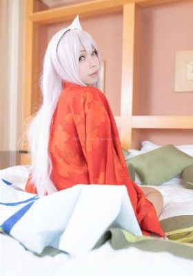 完美的人